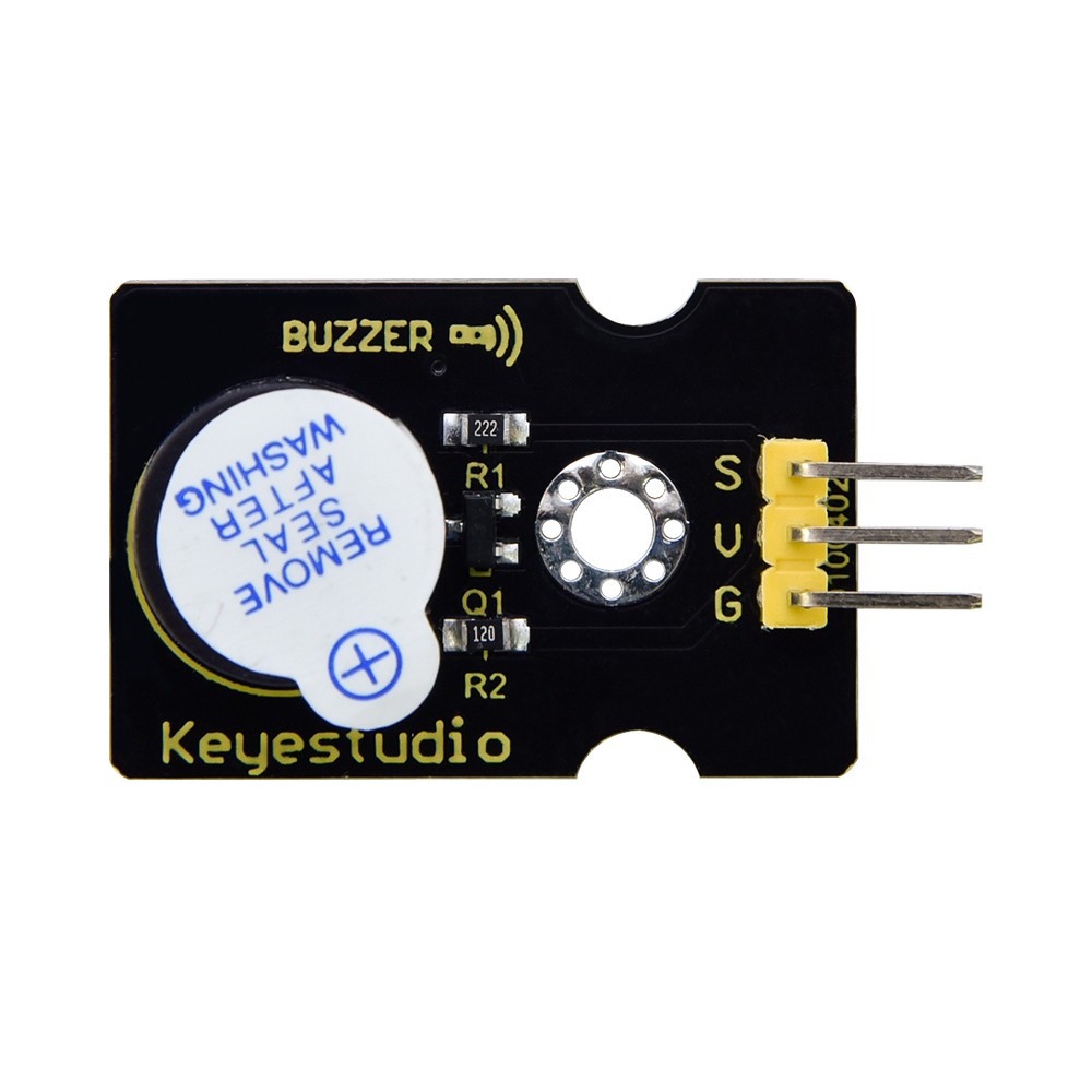 Buzzer module